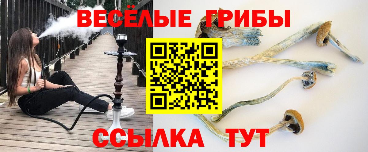 Псилоцибиновые грибы Magic Shrooms  Псилоцибиновые грибы Psilocybe  купить   Вход с VPN  Котельники 